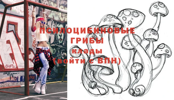 эйфоретик Белокуриха